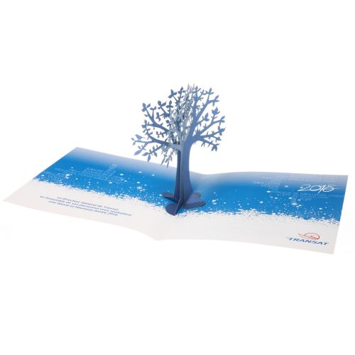 CARTE POP-UP CENTRAL