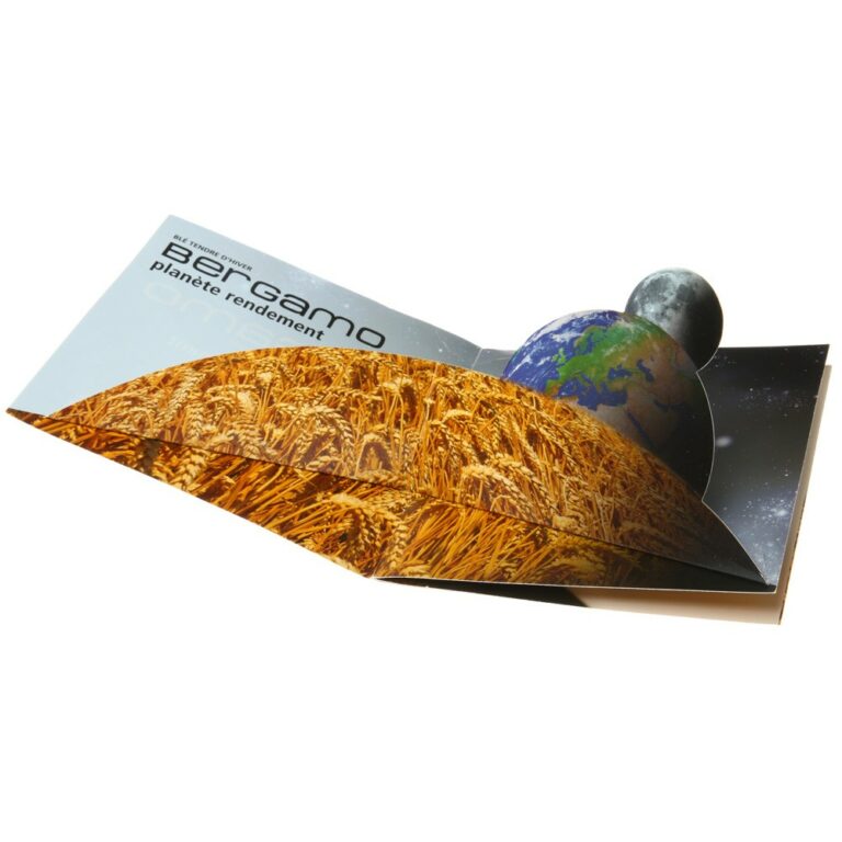 CARTE POP-UP SIMPLE
