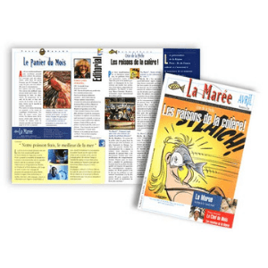 Création graphique de votre journal professionnel.
